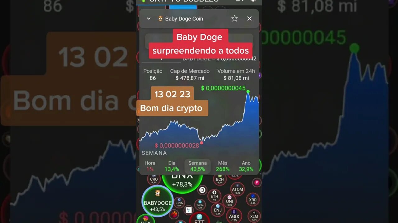 Bom dia Crypto 13 02 23 #babydoge