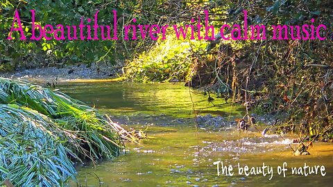 A beautiful river with calm music / small river with clear water.