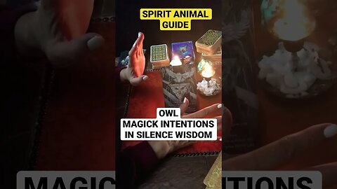 #shorts #spiritualawakening #animalspiritguides #spiritguidemessage #asmrtarot #lawofattraction 🔮🕯