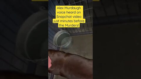 Jurors at Murdaugh trial saw this video today! Proving Alex Murdaugh was at kennels minutes before!