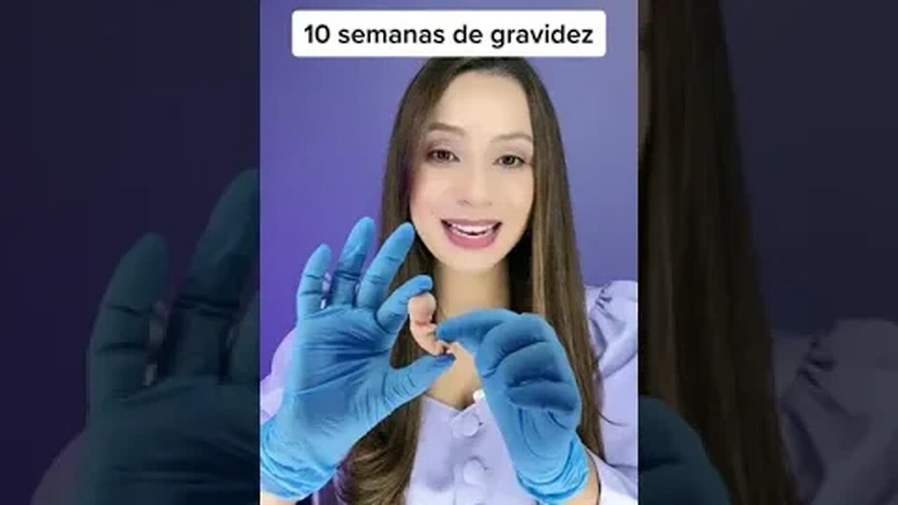 10 Semanas de gravidez, olha essa maquete do tamanho real