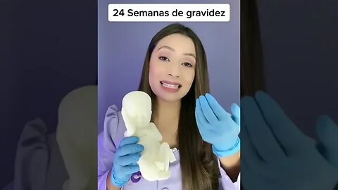 24 Semanas de gravidez, olha essa maquete do tamanho real