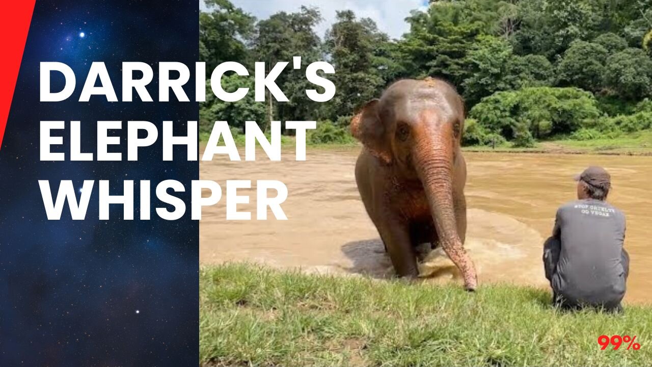 Darrick's Magic Call: Elephant Herd's Unseen Bond