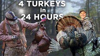 These Georgia Turkeys Would Not Stop Gobbling!
