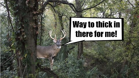 When is it too thick for a buck?