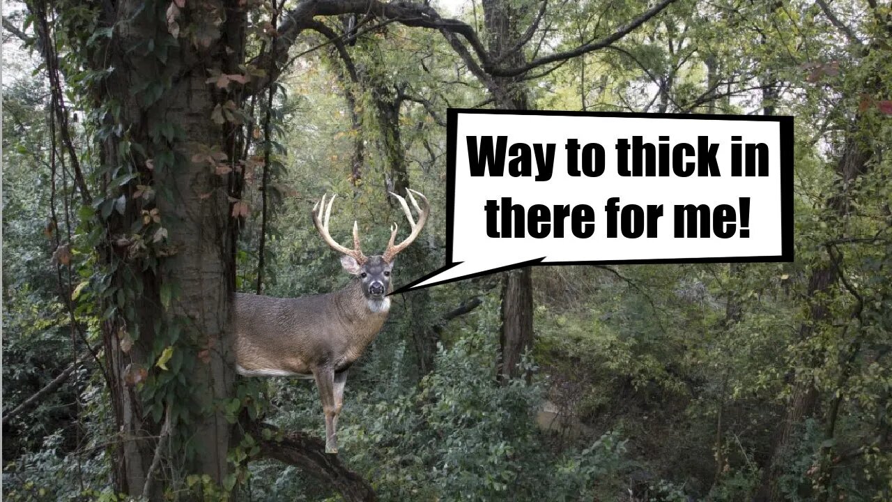 When is it too thick for a buck?