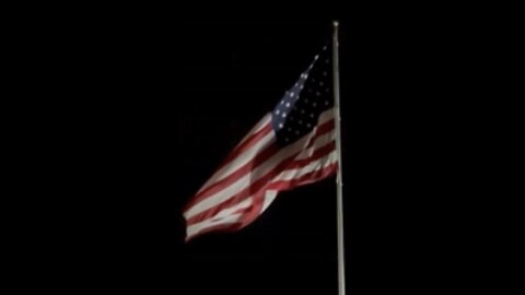 44 DAYS TO TAKE BACK OUR COUNTRY FROM THE TREASONISTS
