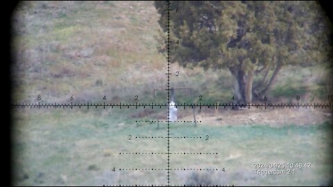 6mm creedmoor with trigger cam