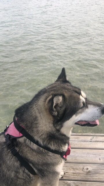 Friend Oct 4, My grace is sufficient.