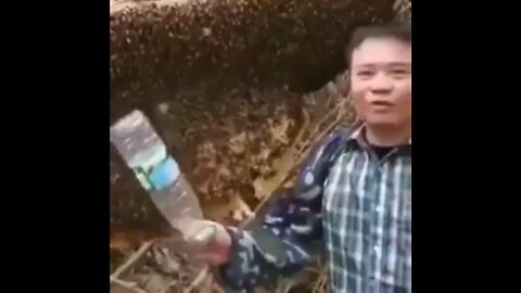 F*ck Around And Find Out: Bee Hive Edition