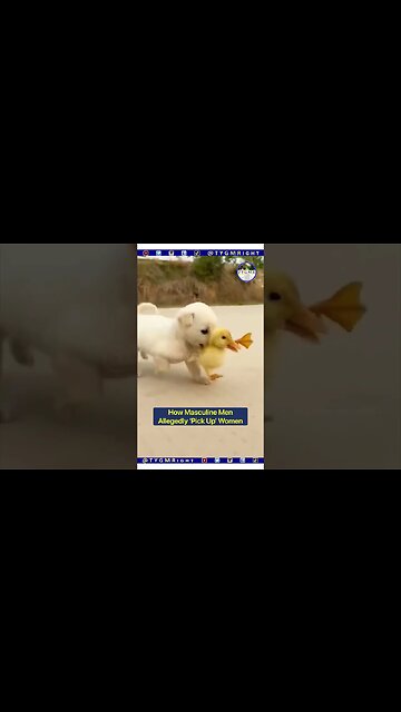 How Modern ‘Females’ Think M@sculine Men ‘Pick Up’ and Keep Women (#Shorts)