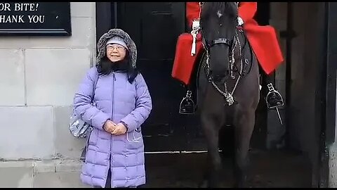 The Horse bites and holds her arm #horseguardsparade