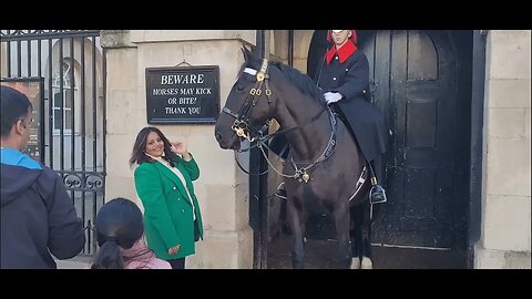 You should touch the Horse like that #horseguardsparade