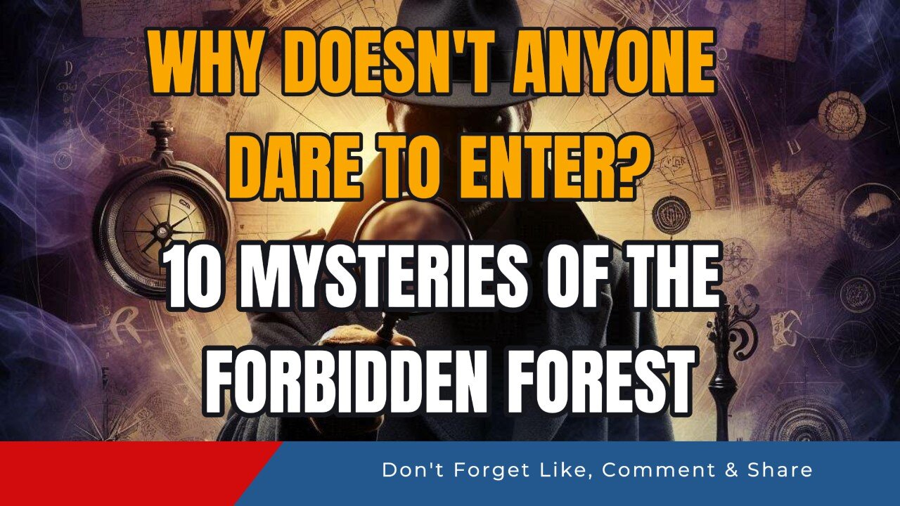 Why Doesn't Anyone Dare to Enter? 10 Mysteries of the Forbidden Forest