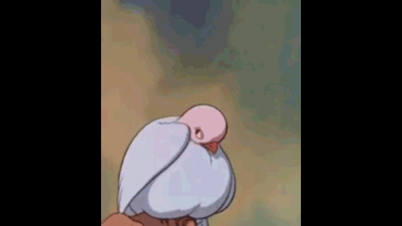 "Omg Dinosaur Dove Gets Into My Mini Dove Aviary Full Video ποΈπ¦π»πΌπΆ
