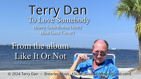 To Love Somebody | Terry Dan