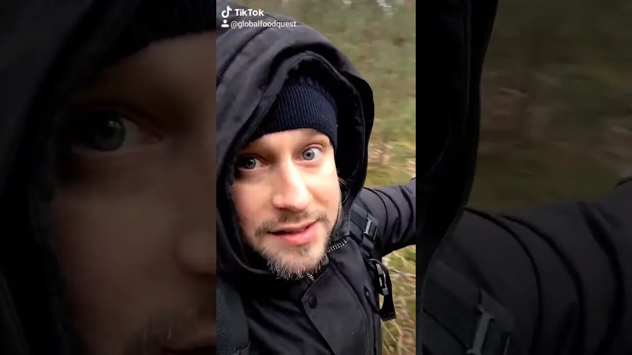 Foraging for mushrooms in the winter?❄️🏔️🍄 #foraging #fungi #mushrooms