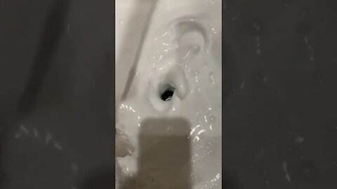 Smelly Garbage Disposal? Try This Hack!