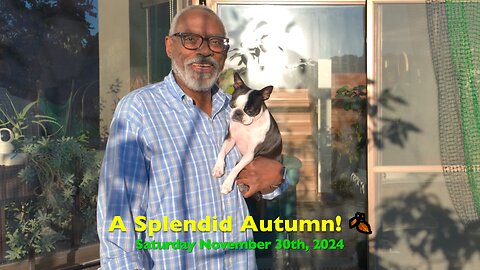A Splendid Autumn! 🍂