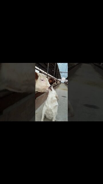 Friendship forever♥️