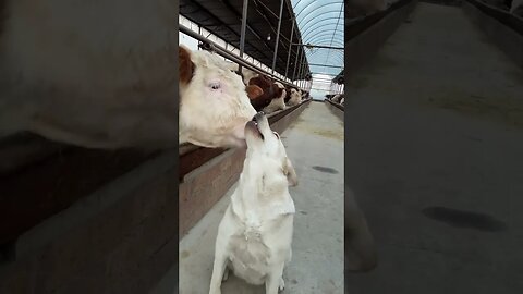 Friendship forever♥️
