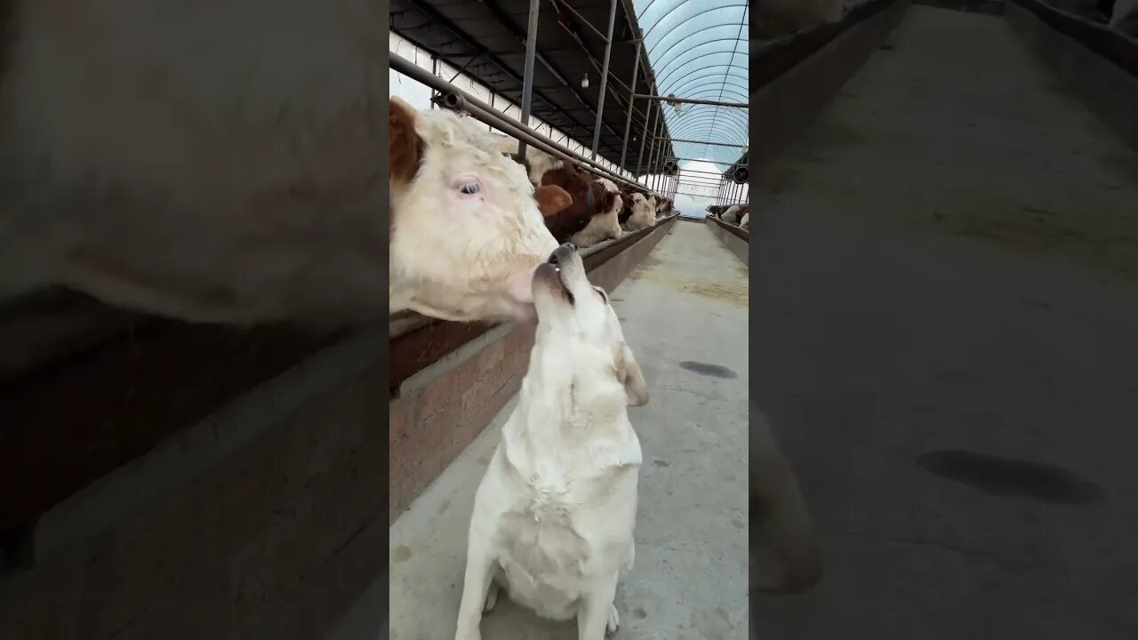 Friendship forever♥️