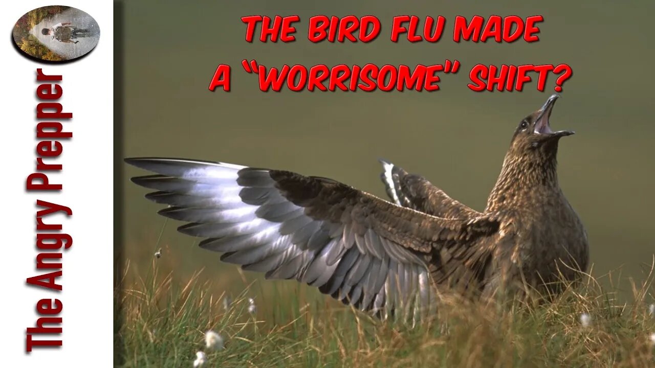 The Bird Flu Made A “Worrisome” Shift?