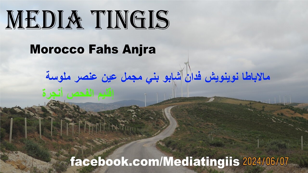 مالاباطا نوينويش فدان شابو بني مجمل عين عنصر ملوسة إقليم الفحص أنجرة 07 06 2024 Morocco Fahs Anjra