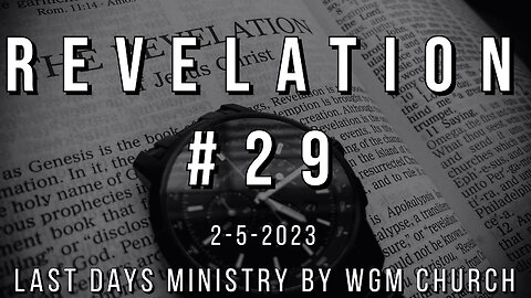 Revelation #29