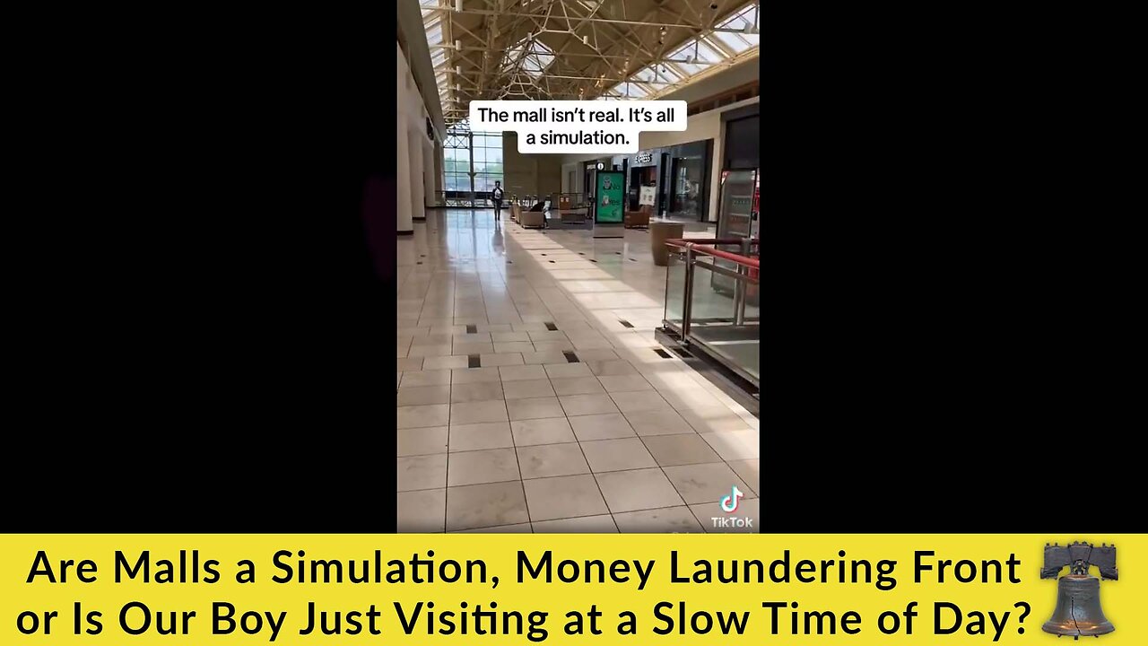 Are Malls a Simulation, Money Laundering Front or Is Our Boy Just Visiting at a Slow Time of Day?