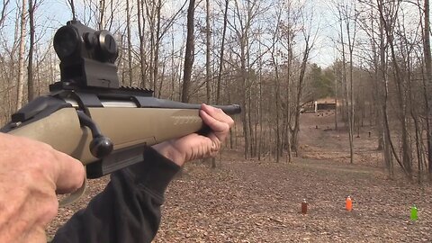 Ruger American 450 Bushmaster Range 2