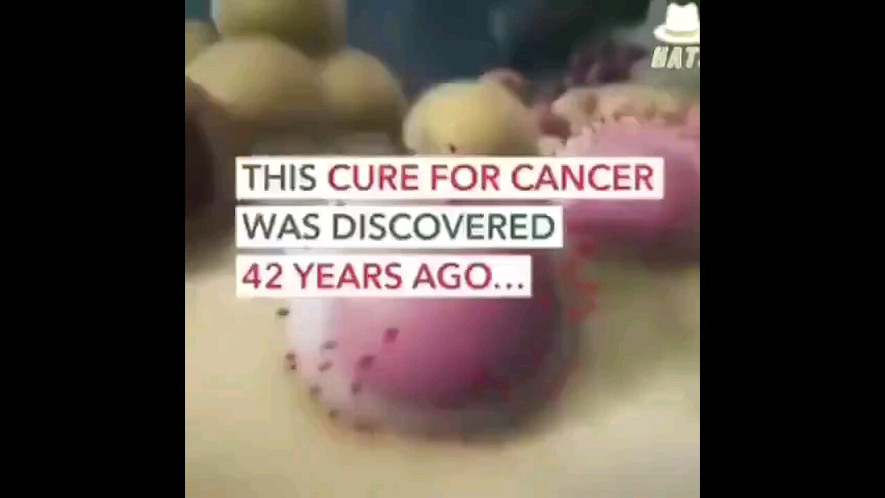 Cure For Cancer?