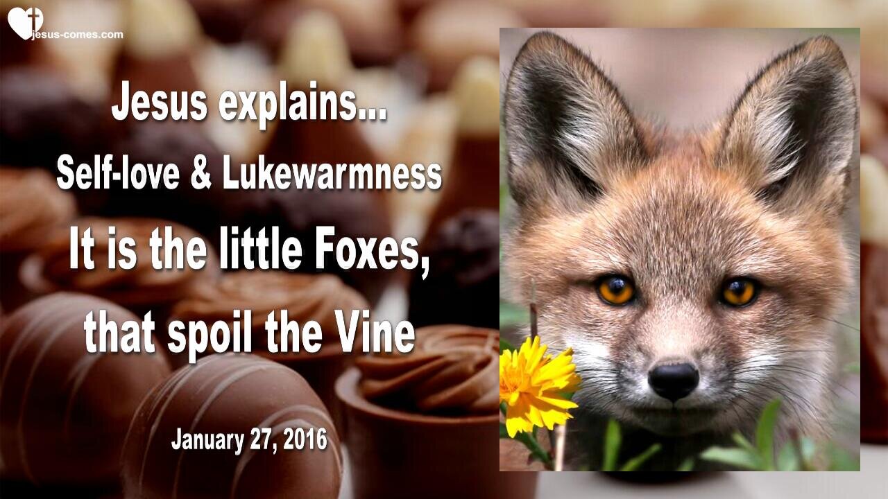 Jan 27, 2016 ❤️ Jesus explains Self-Love and Lukewarmness... It is the little Foxes that spoil the Vine