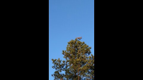 Low Flying Stearman!