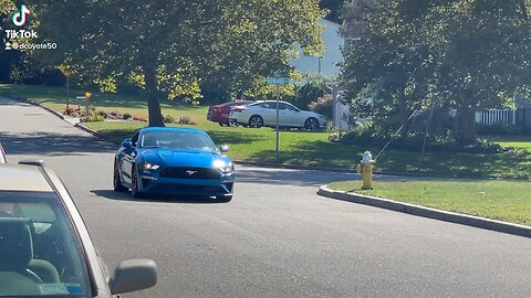 2019 mustang gt