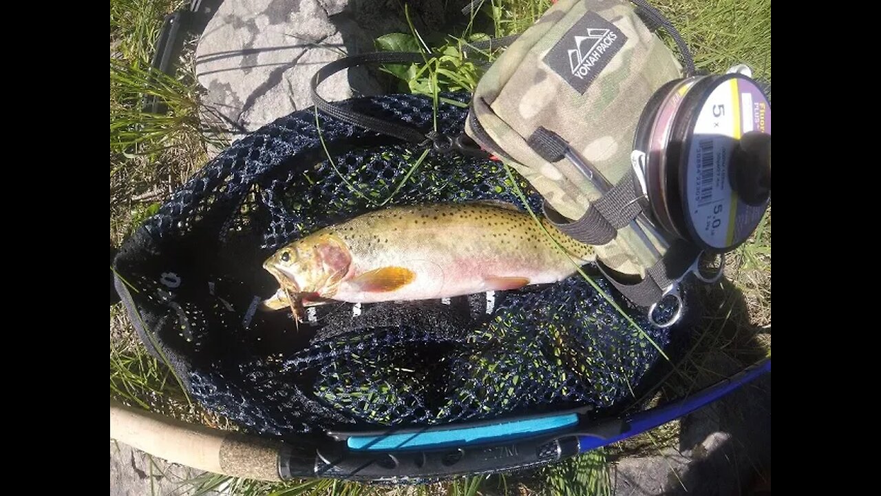 Cutthroat Trout And Oil Slick Stew- Catch Clean Cook