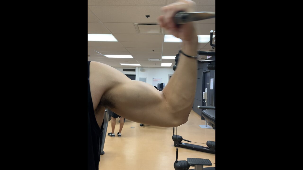 BICEP WORKOUT