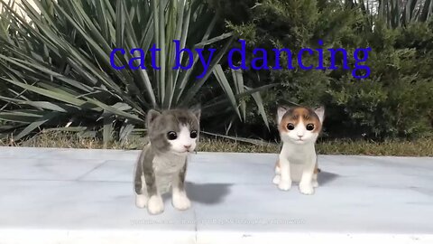 Cat by dancing funny animals cat2023