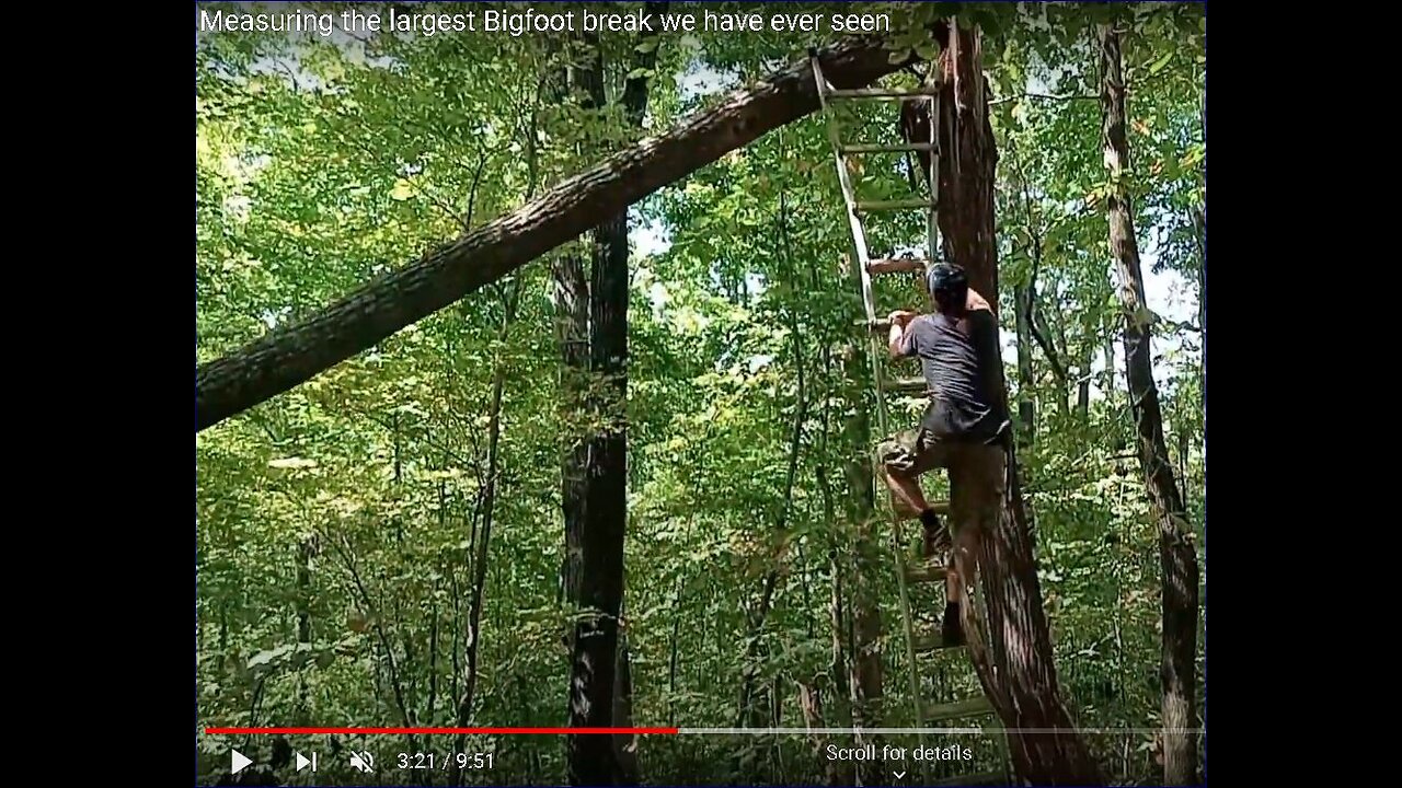 Measuring the largest Bigfoot break we have ever seen.