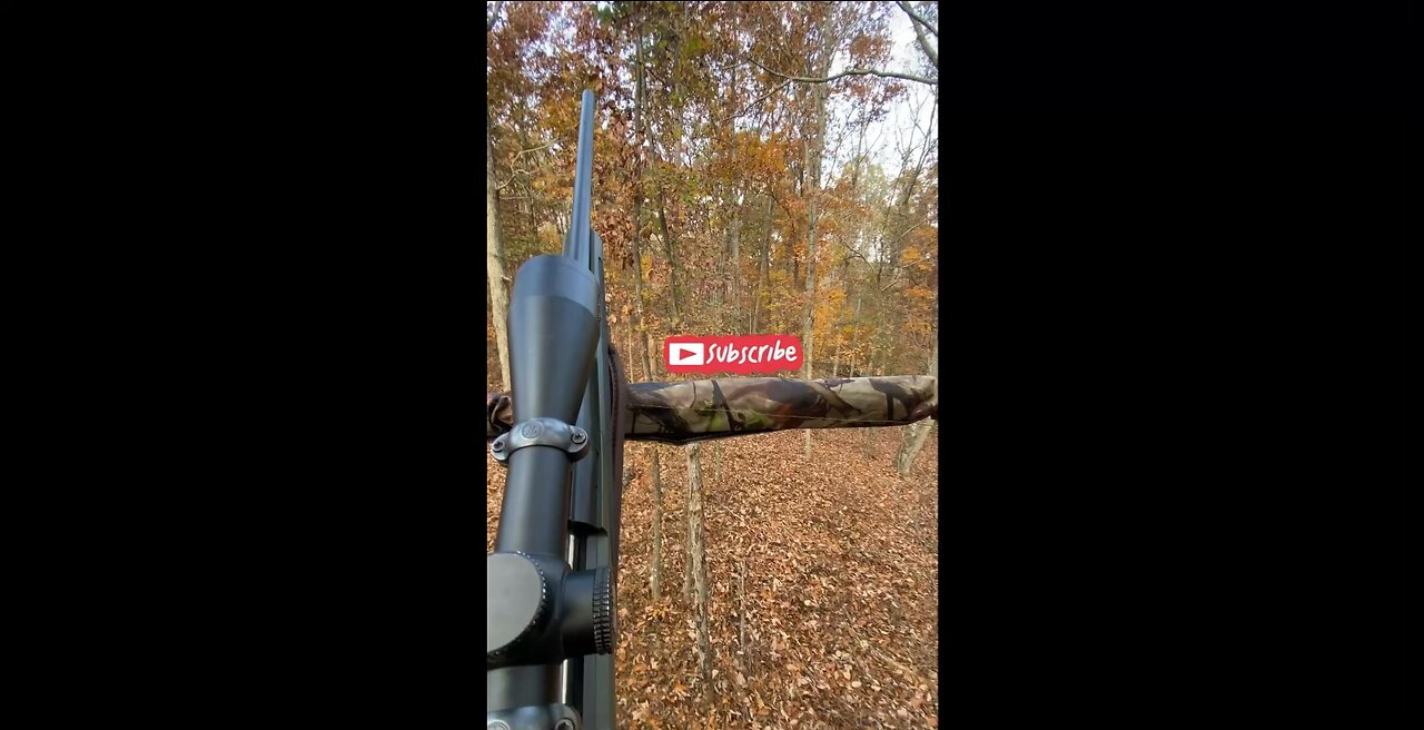 Hunting stereotypes