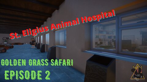 Building a New Animal Hospital | Golden Grass Safari: Episode 2