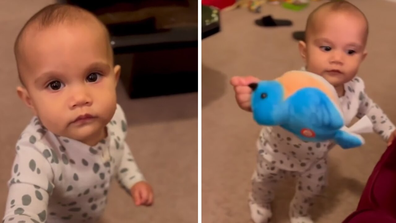 Smart Baby Adorably Follows Commands