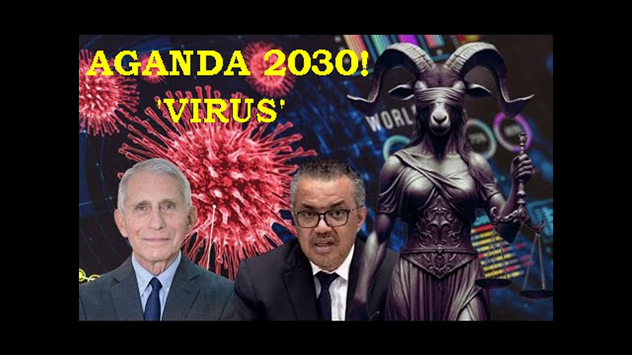 Call: Very Important Information On The UN, WHO and WEF VIRUS PLAN-Demic Treaty!