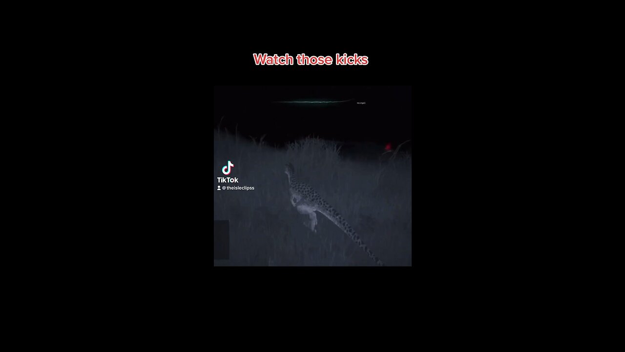 The Isle Gameplay