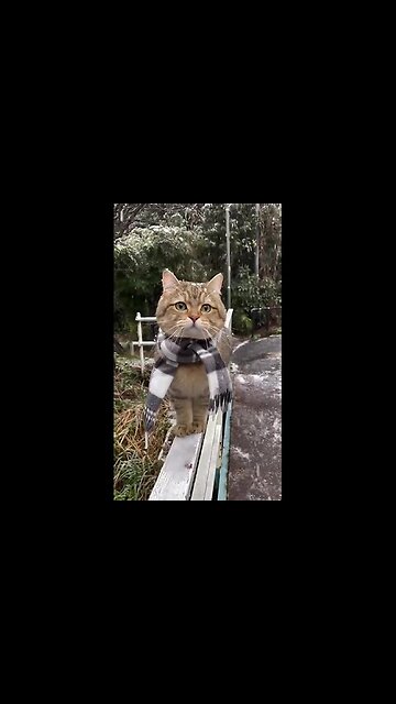 Handsome guy in a scarf!