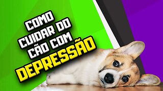 LIVE Depressão em Cães | Dr. Edgard Gomes | Alimentação natural para Cães