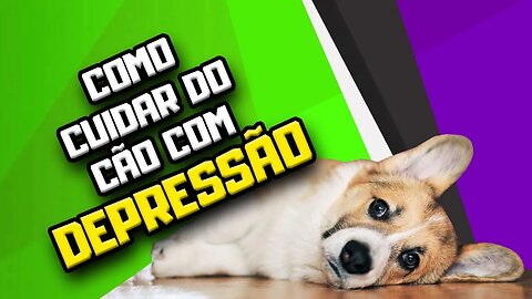 LIVE Depressão em Cães | Dr. Edgard Gomes | Alimentação natural para Cães