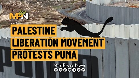 Palestine Liberation Movement Protests Puma