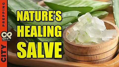 How to Make Aloe Vera Powder (Freeze Dried and Dehydrated)