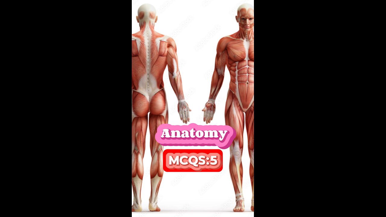 Anatomy MCQS #physical #quiz #mcqs #Nclex #nurses #doctor #short, #3Dmedico #short